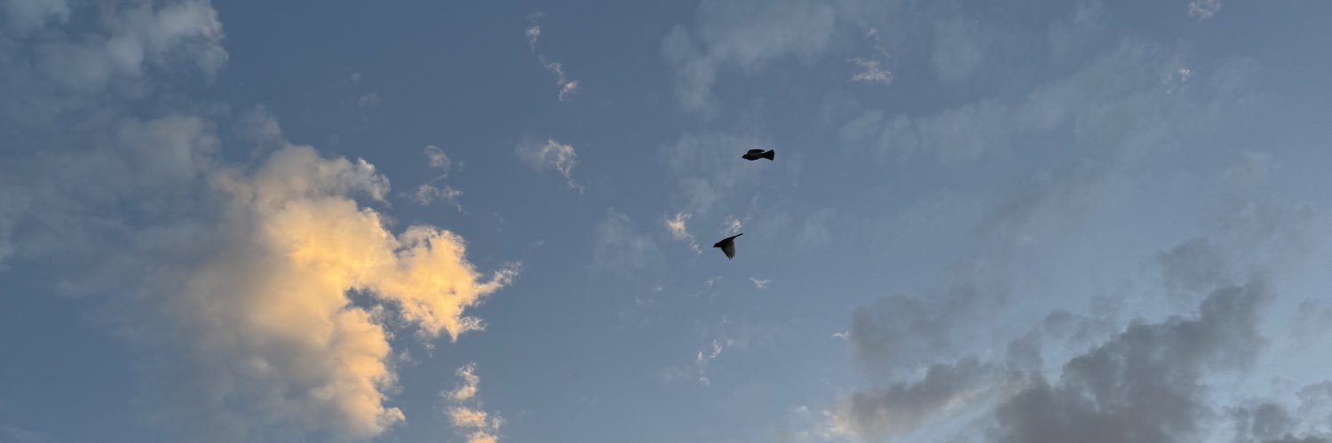 aaaaaalivia's profile banner image