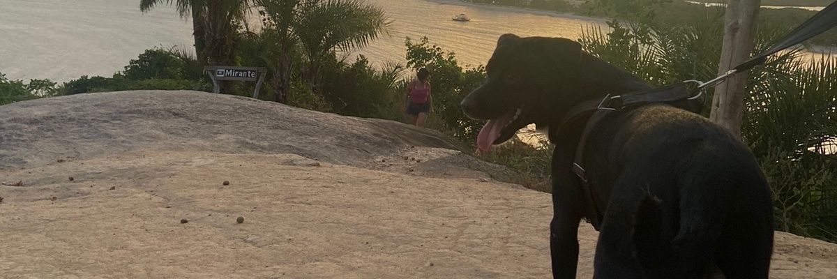 mgoliveira1998's profile banner image