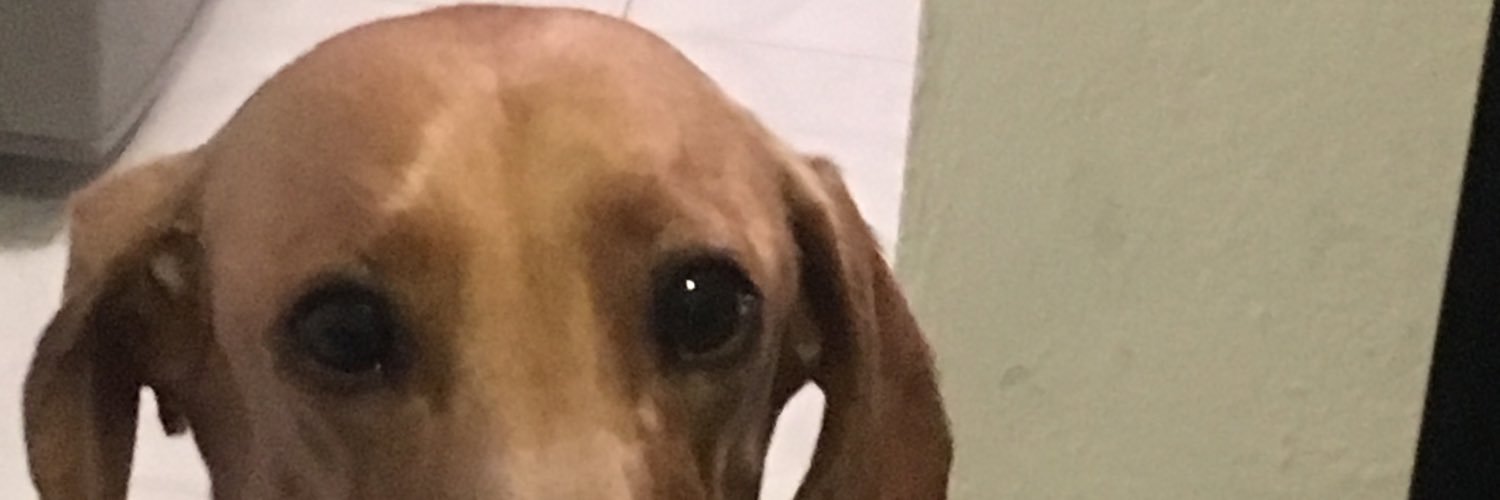 BEliinos's profile banner image