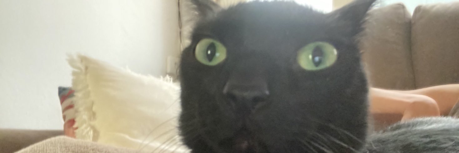 MRidorsa's profile banner image
