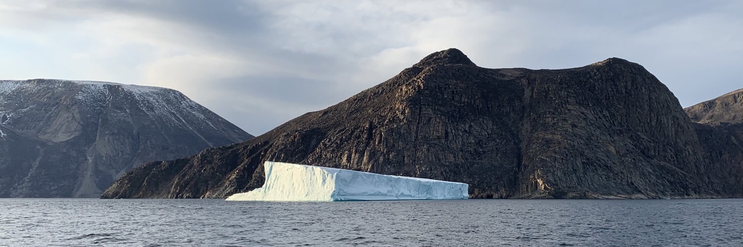 Ellyn Davidson banner