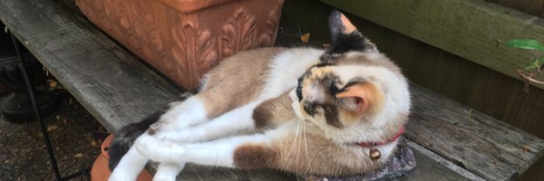 isfullofcrap Profile Banner