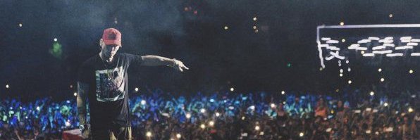 Guille banner