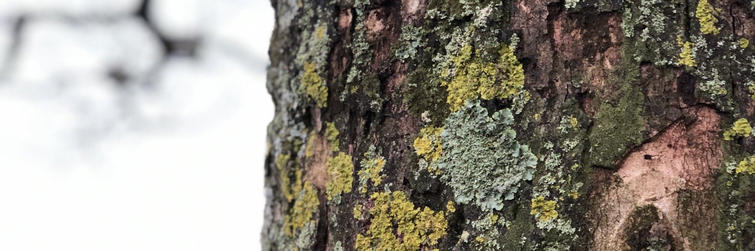 Sesh Vedachalam banner