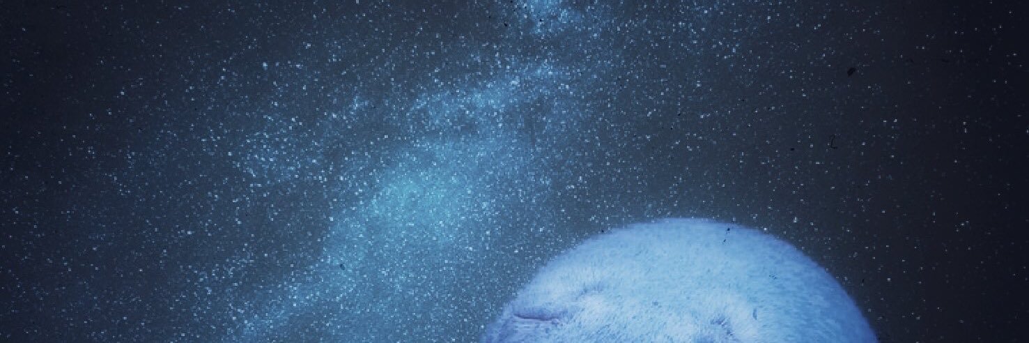 R4K0san's profile banner image