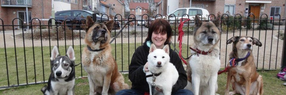 VIPDogTraining's profile banner image