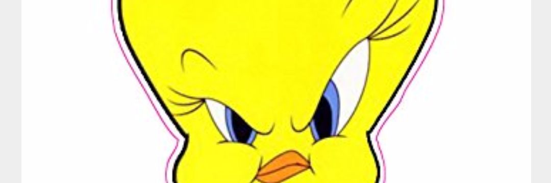 amvalee's profile banner image