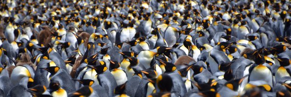 alewden Profile Banner