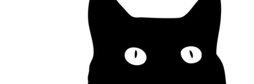 siskatrien's profile banner image