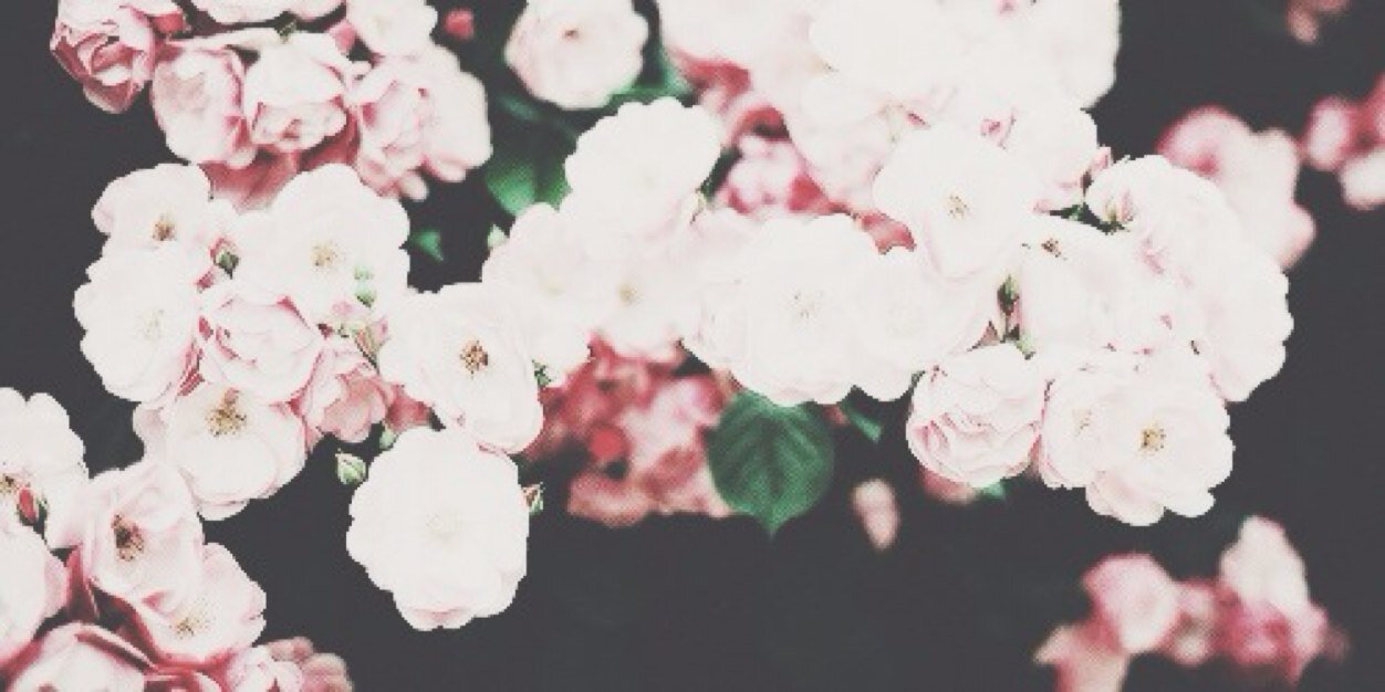 patri💋 banner