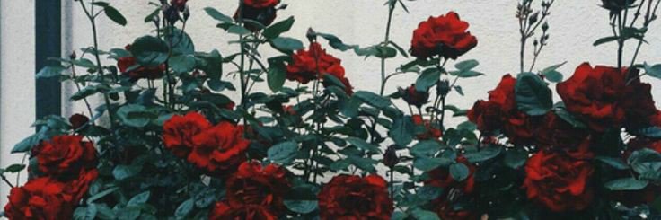 jborgiot's profile banner image