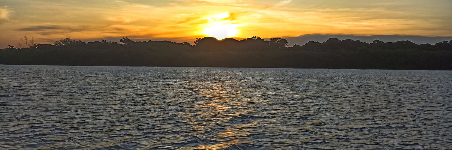 acarolgodim's profile banner image