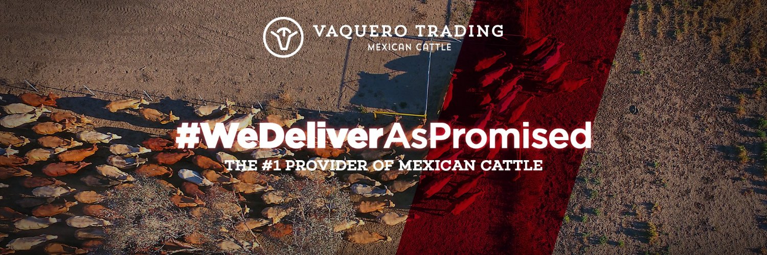 TradingVaquero's profile banner image