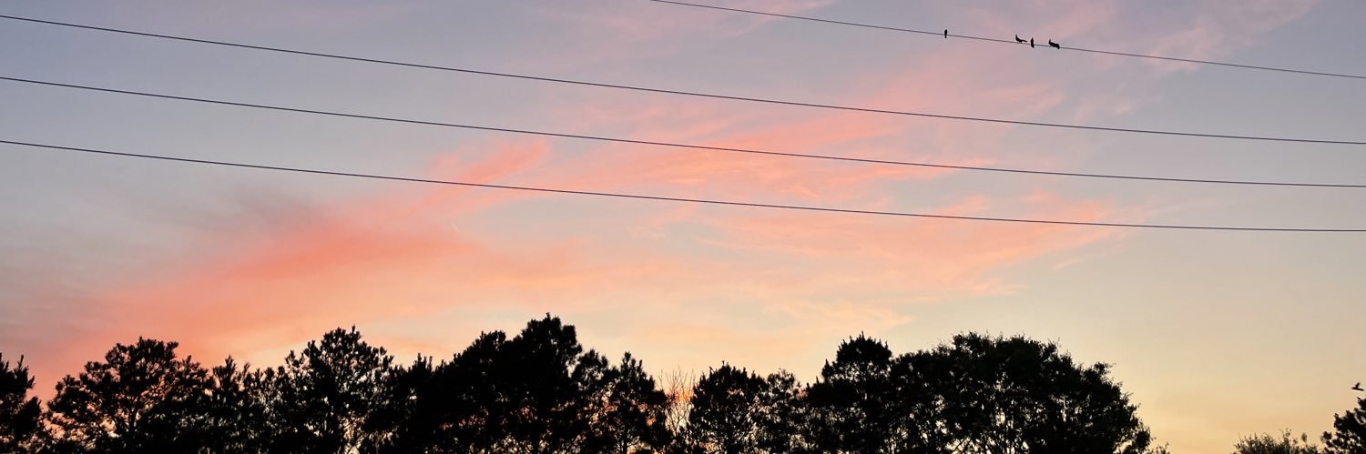 amberleemerrill's profile banner image