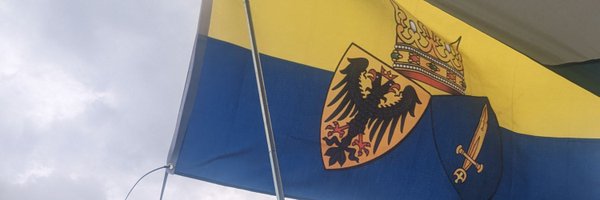 DrMedCheems Profile Banner