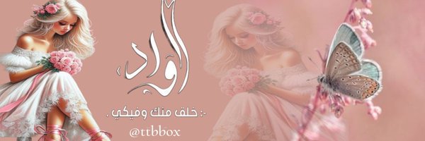 ttbbox Profile Banner