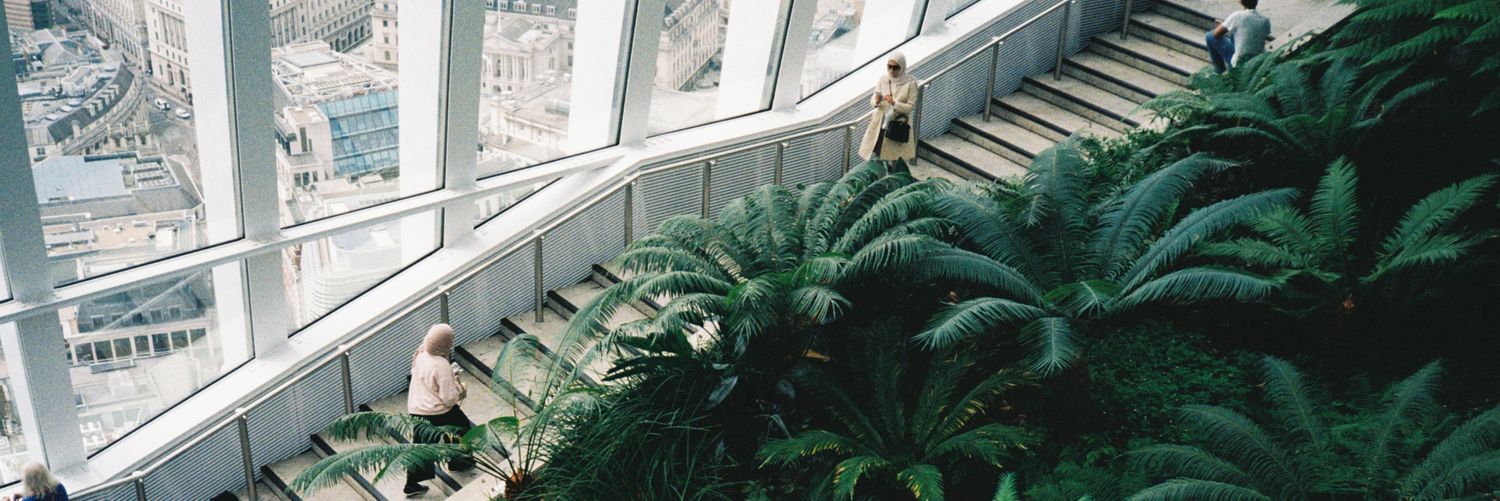 ᴍᴀʀᴛɪɴɪ banner