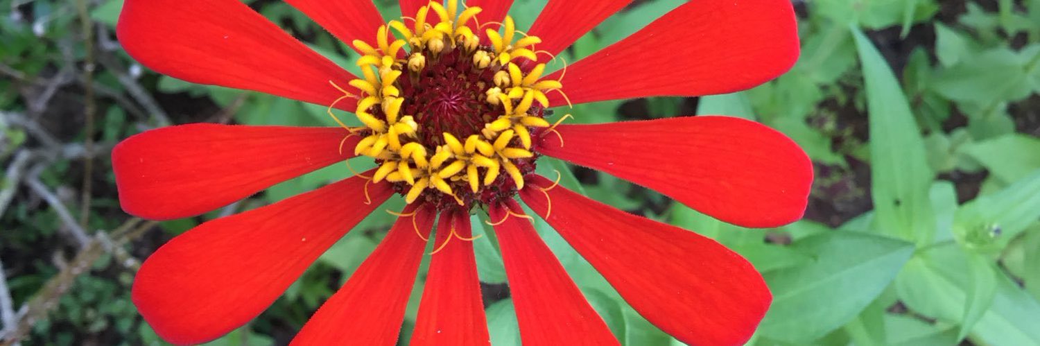 Marco Matamoros banner