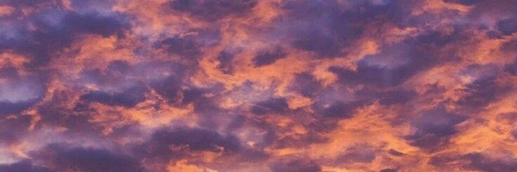 TheSheepOfYou's profile banner image