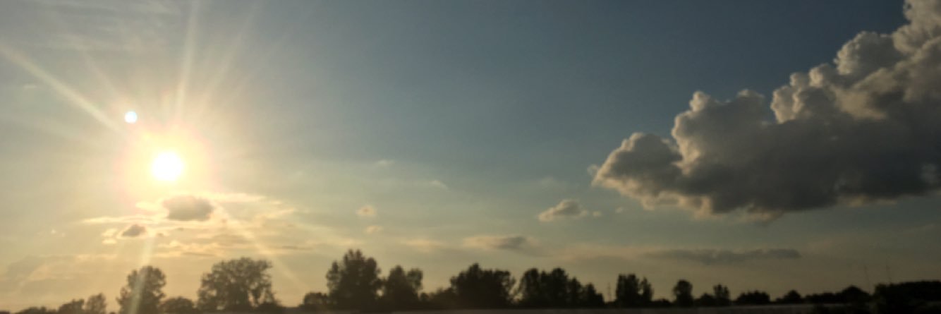 TheDevoutTrout's profile banner image