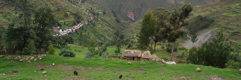 Armando Céspedes banner