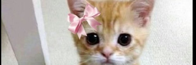 Sweetiixx's profile banner image