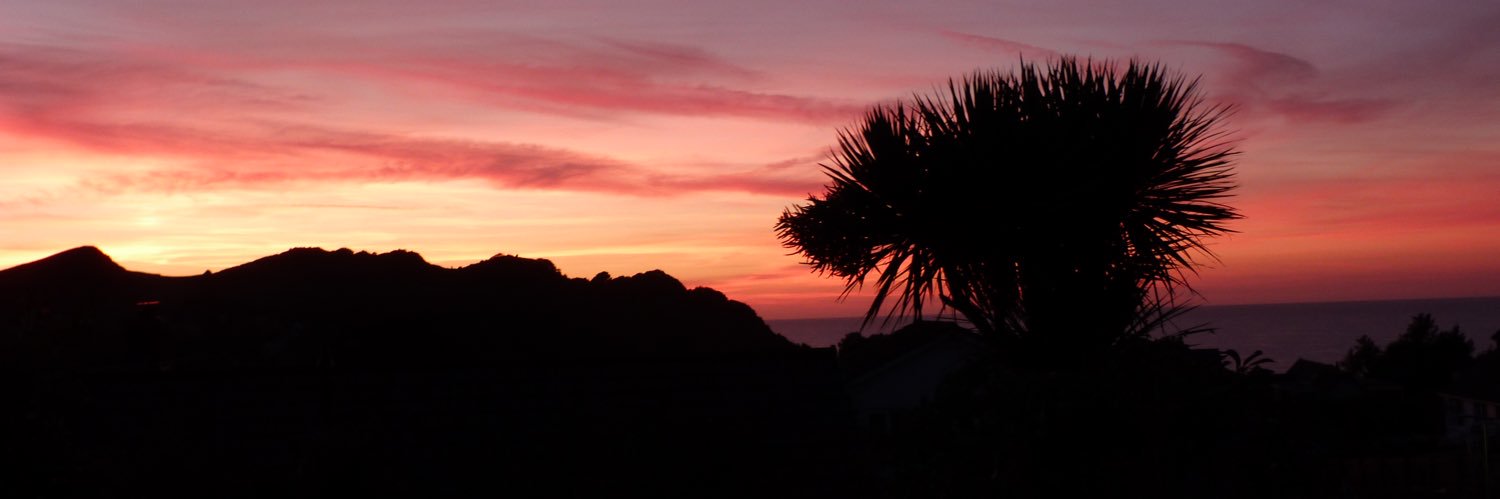 hoare_david's profile banner image