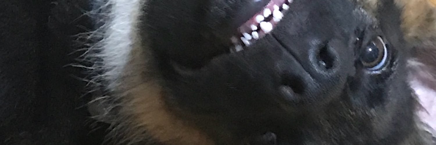 JJLim17's profile banner image