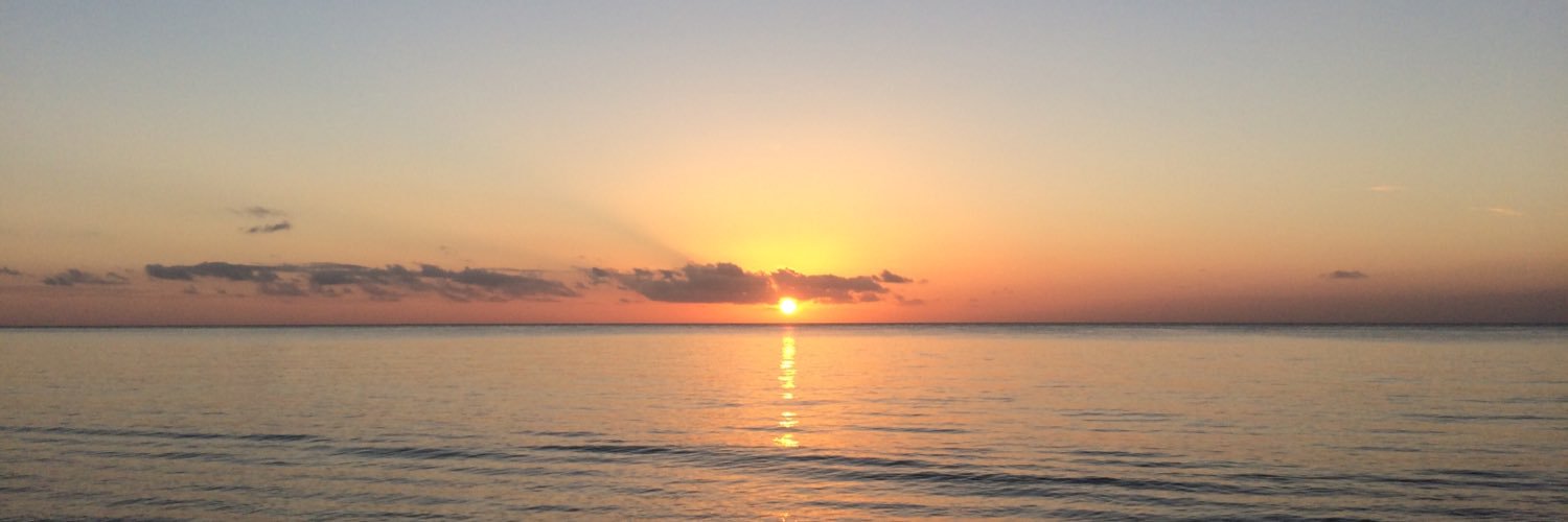 RH3010's profile banner image