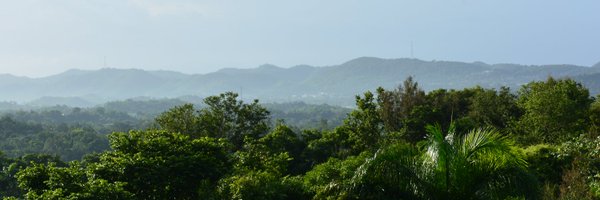 Pardo_LM Profile Banner