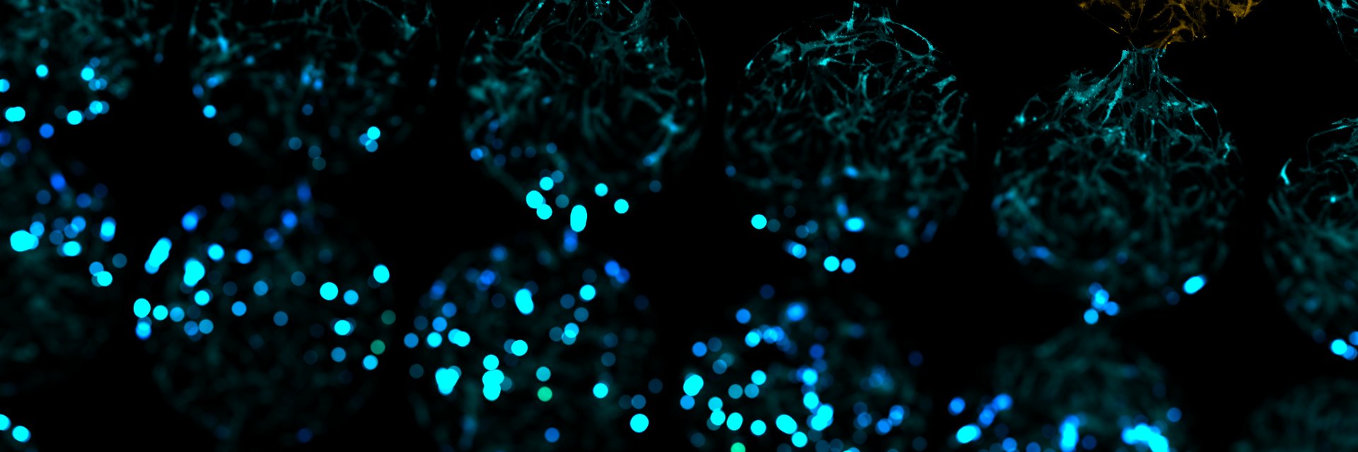 Scaled Biolabs banner