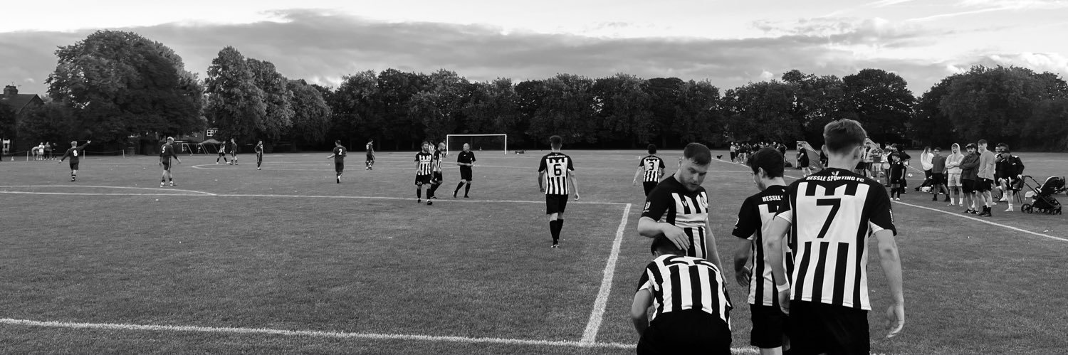 Hessle Sporting Club. banner