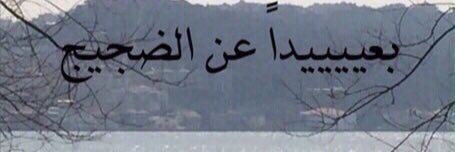 Rose___991's profile banner image