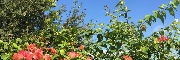 _AllisonKate Profile Banner