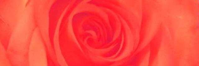 stapl001's profile banner image