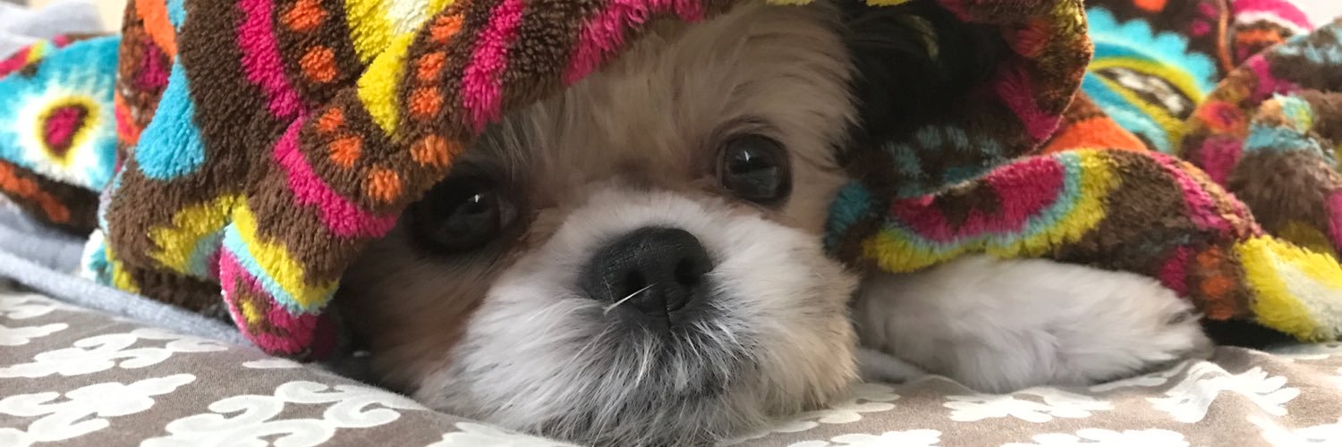 bigtime_timmyJ's profile banner image