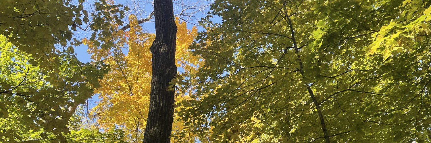 773snooopy's profile banner image