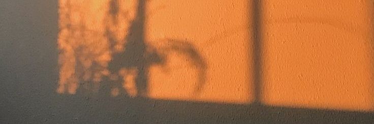 Anthonymendra7's profile banner image