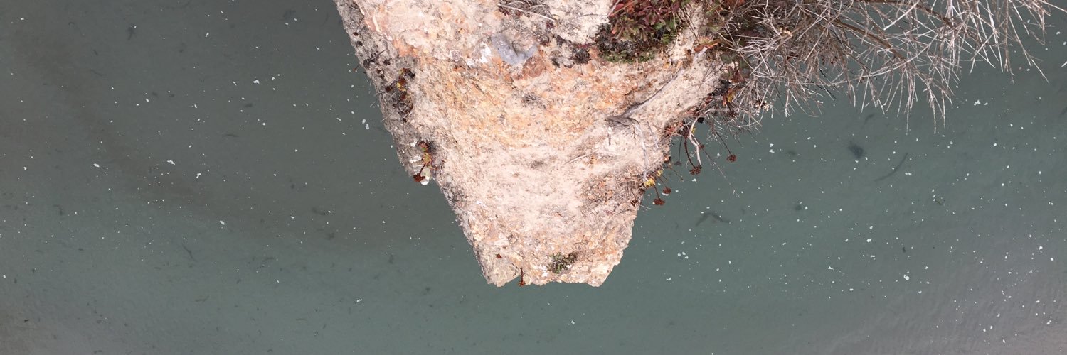mmmces's profile banner image
