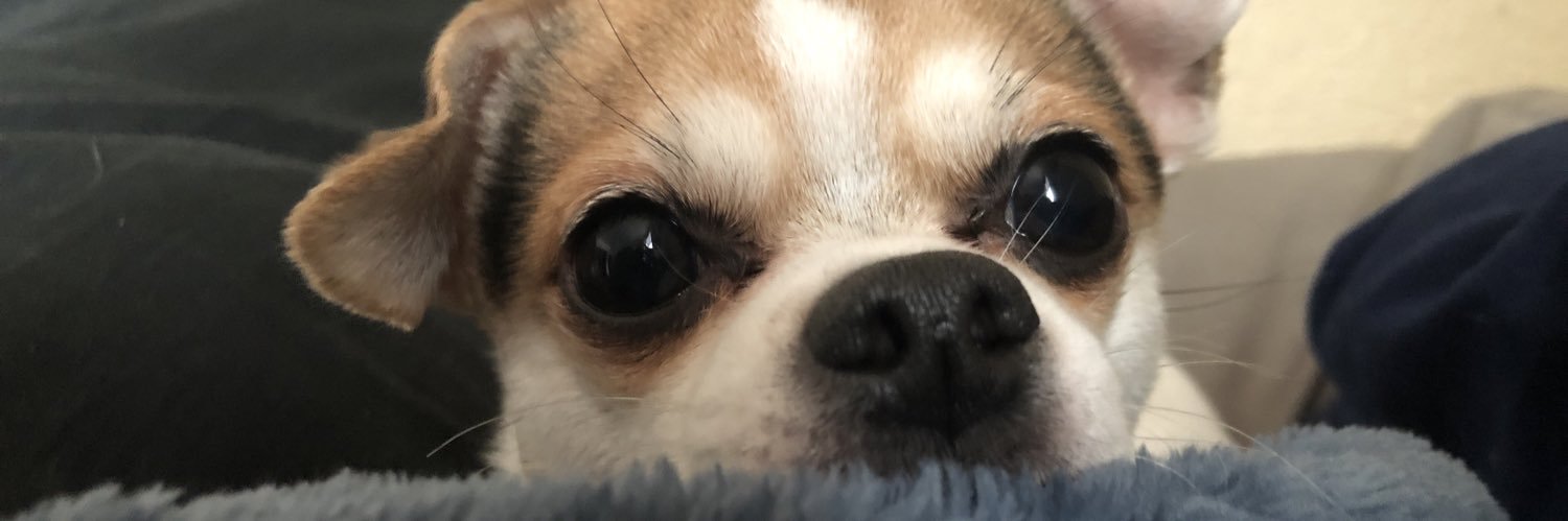 ElPolloCoco's profile banner image