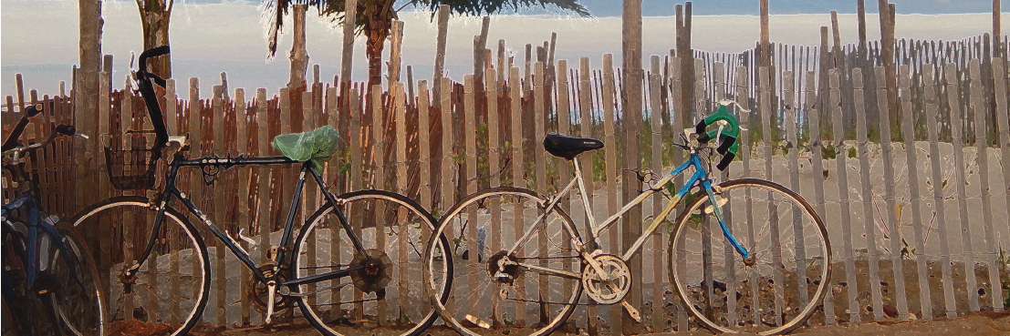 experiencemynj's profile banner image
