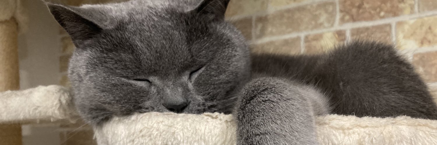 ケナコデラックス❤️ banner