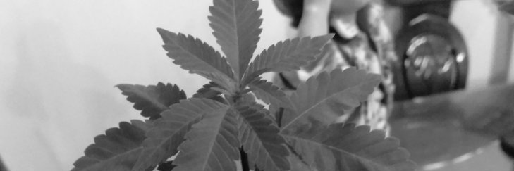Mate0__29's profile banner image