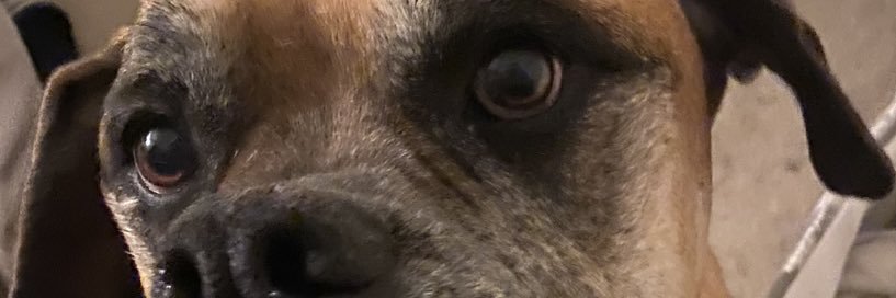 rrrrhea's profile banner image