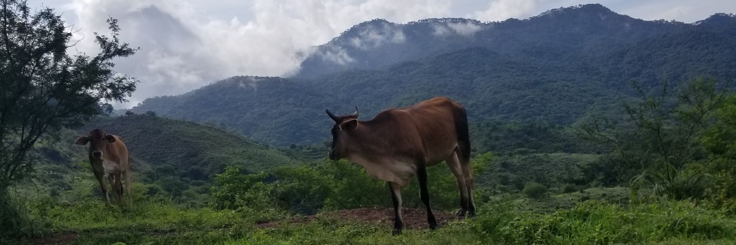 Jose_Jack23's profile banner image
