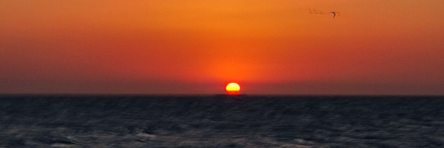 notjhonx's profile banner image