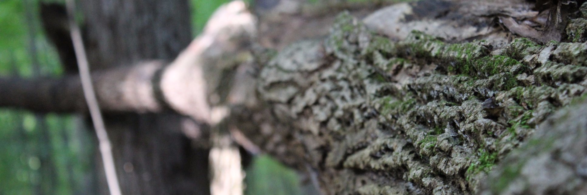 GrubTimeAway's profile banner image