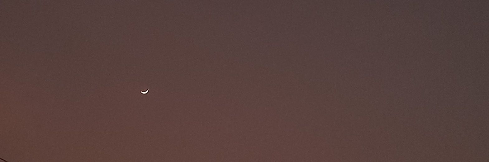 Fioo banner