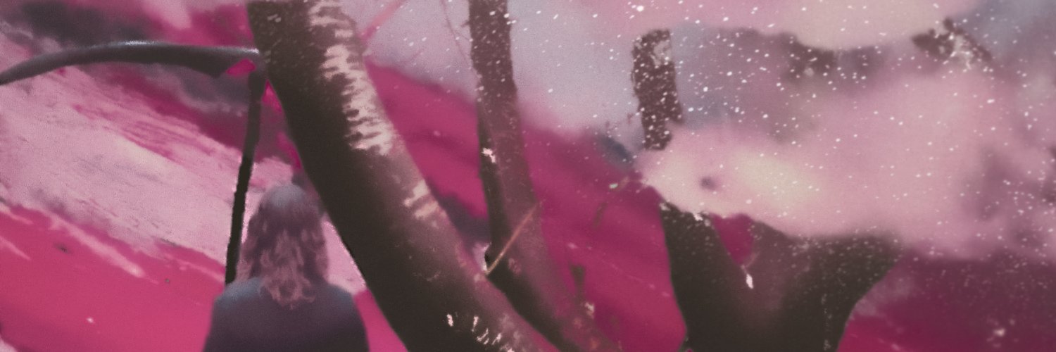 LindseyBonnette's profile banner image