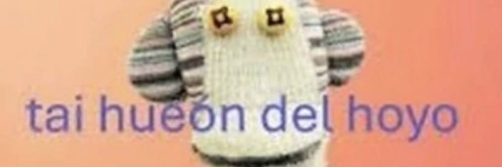 codecot16's profile banner image